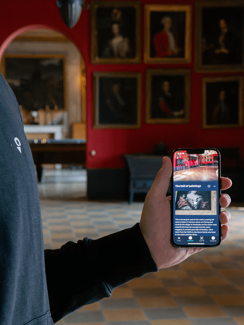 How We Can Help Even the Smallest Museums Digitalize?